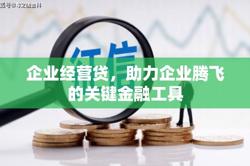 东乌旗企业经营贷，助力企业腾飞的关键金融工具