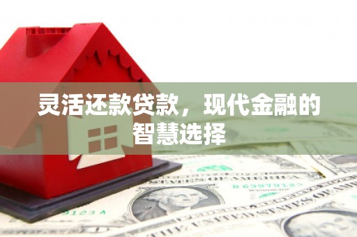 东乌旗灵活还款贷款，现代金融的智慧选择