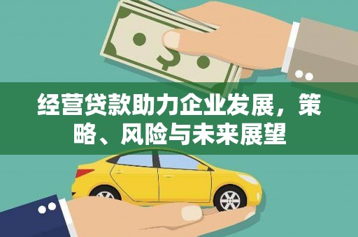 东乌旗经营贷款助力企业发展，策略、风险与未来展望