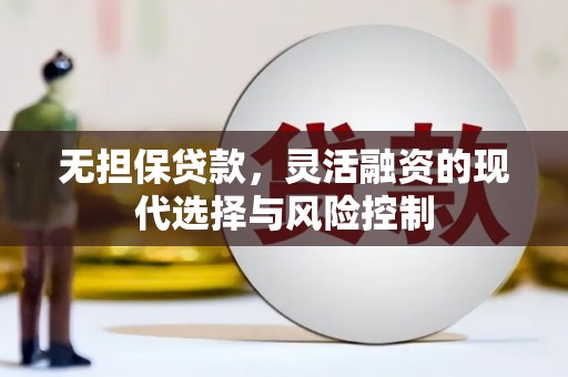 东乌旗无担保贷款，灵活融资的现代选择与风险控制