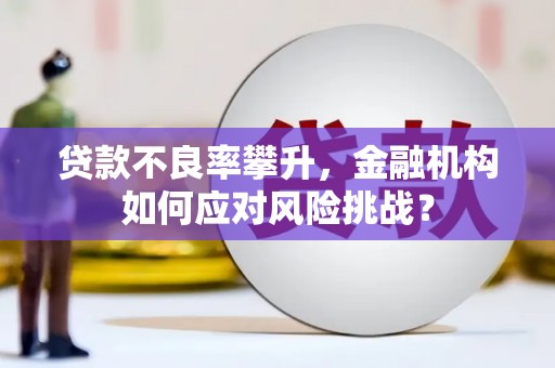 东乌旗贷款不良率攀升，金融机构如何应对风险挑战？