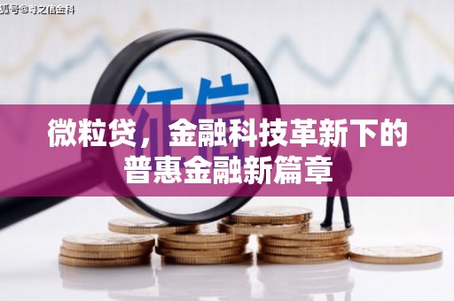 东乌旗微粒贷，金融科技革新下的普惠金融新篇章