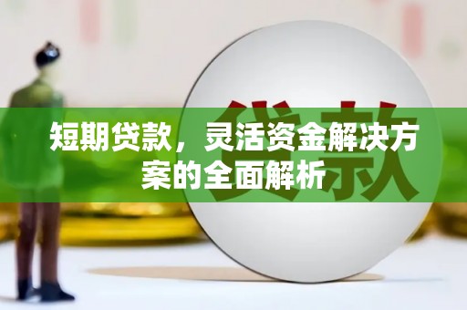东乌旗短期贷款，灵活资金解决方案的全面解析