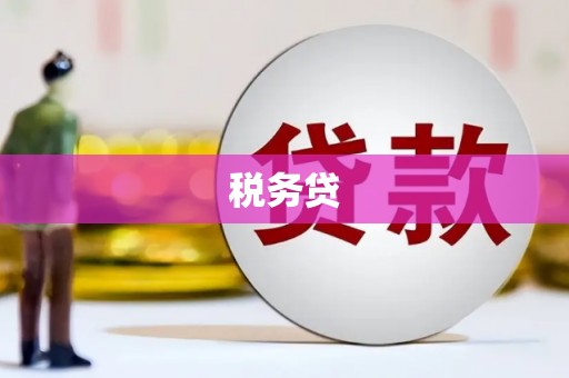 东乌旗税务贷