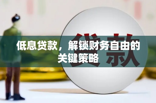 东乌旗低息贷款，解锁财务自由的关键策略