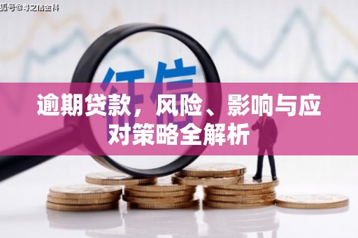 东乌旗逾期贷款，风险、影响与应对策略全解析