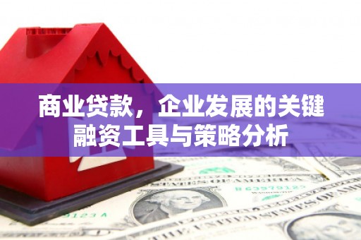 东乌旗商业贷款，企业发展的关键融资工具与策略分析
