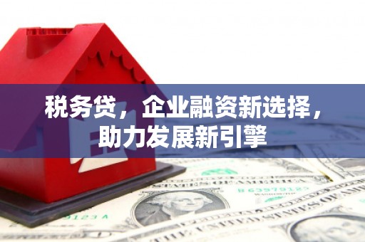 东乌旗税务贷，企业融资新选择，助力发展新引擎