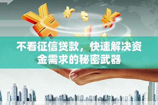 东乌旗不看征信贷款，快速解决资金需求的秘密武器