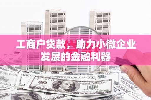 东乌旗工商户贷款，助力小微企业发展的金融利器