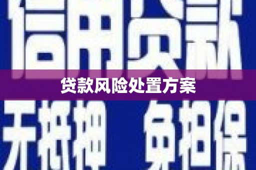 东乌旗贷款风险处置方案