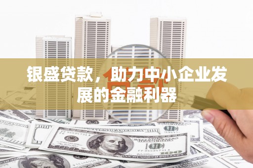 东乌旗银盛贷款，助力中小企业发展的金融利器