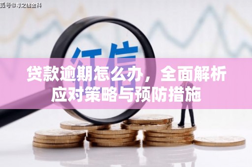 东乌旗贷款逾期怎么办，全面解析应对策略与预防措施