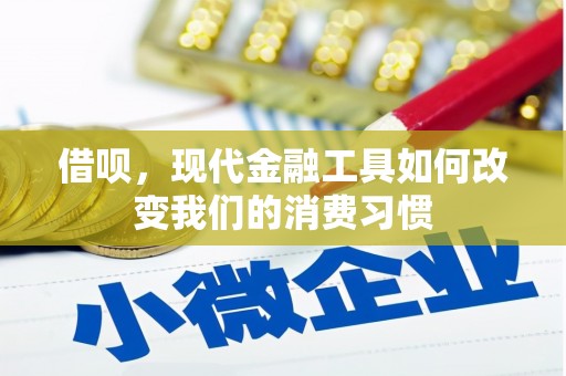 东乌旗借呗，现代金融工具如何改变我们的消费习惯