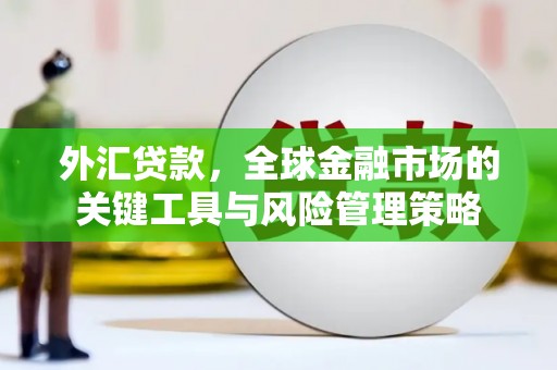 东乌旗外汇贷款，全球金融市场的关键工具与风险管理策略
