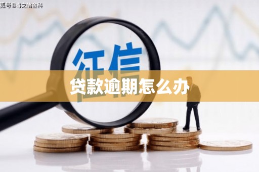东乌旗贷款逾期怎么办
