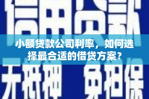 东乌旗小额贷款公司利率，如何选择最合适的借贷方案？
