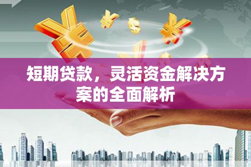 东乌旗短期贷款，灵活资金解决方案的全面解析
