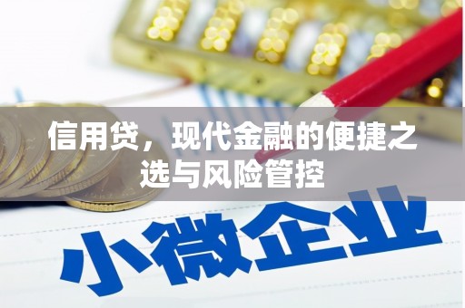 东乌旗信用贷，现代金融的便捷之选与风险管控