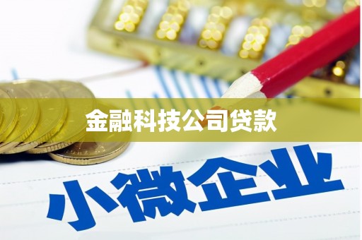 东乌旗金融科技公司贷款