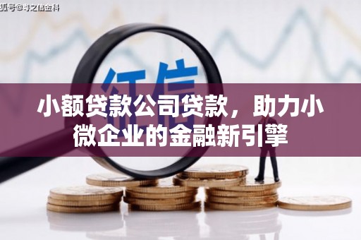 东乌旗小额贷款公司贷款，助力小微企业的金融新引擎