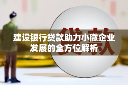 东乌旗建设银行贷款助力小微企业发展的全方位解析