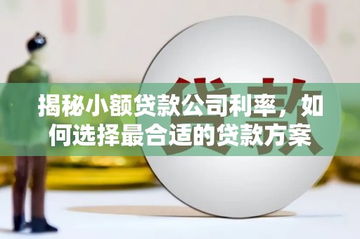 东乌旗揭秘小额贷款公司利率，如何选择最合适的贷款方案