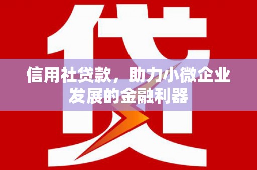 东乌旗信用社贷款，助力小微企业发展的金融利器