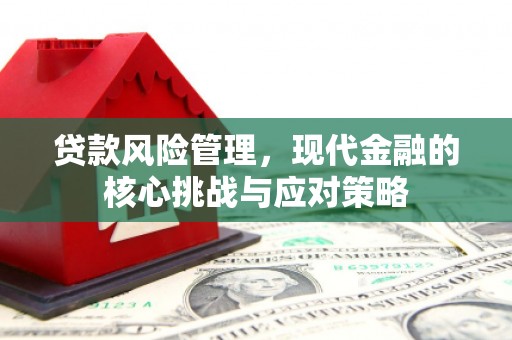 东乌旗贷款风险管理，现代金融的核心挑战与应对策略