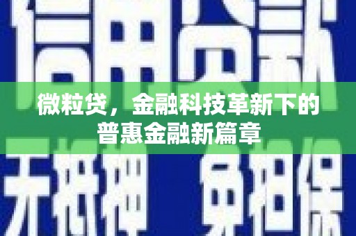 东乌旗微粒贷，金融科技革新下的普惠金融新篇章