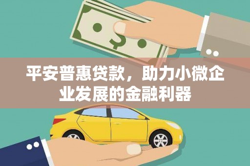 东乌旗平安普惠贷款，助力小微企业发展的金融利器