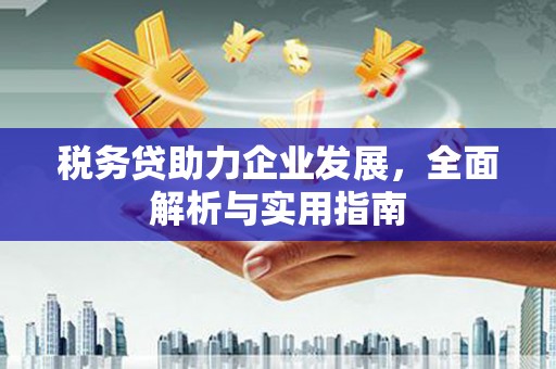 东乌旗税务贷助力企业发展，全面解析与实用指南