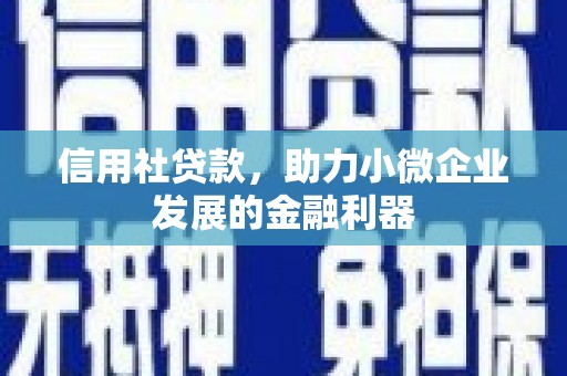 东乌旗信用社贷款，助力小微企业发展的金融利器