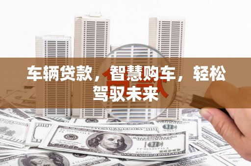 东乌旗车辆贷款，智慧购车，轻松驾驭未来