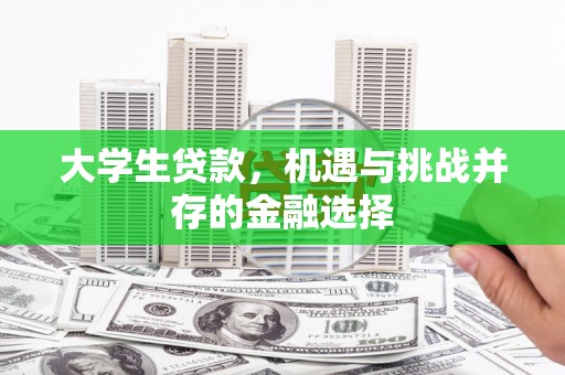 东乌旗大学生贷款，机遇与挑战并存的金融选择