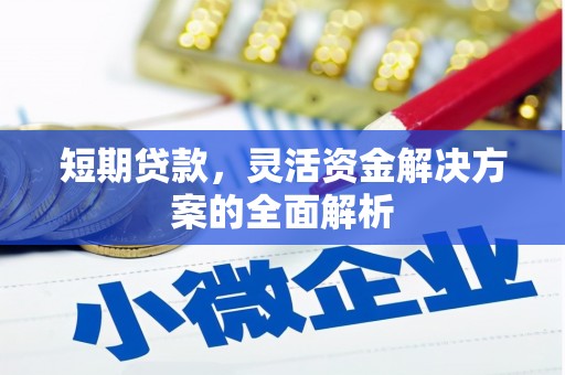 东乌旗短期贷款，灵活资金解决方案的全面解析