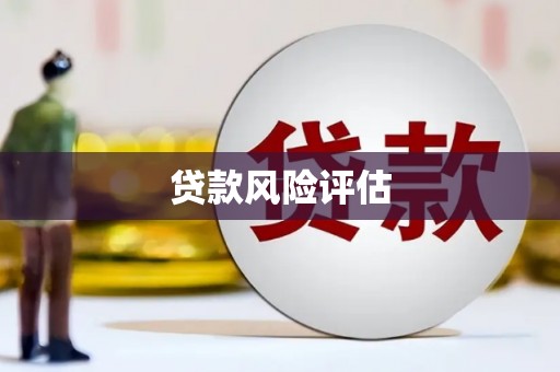 东乌旗贷款风险评估