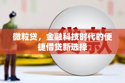 东乌旗微粒贷，金融科技时代的便捷借贷新选择