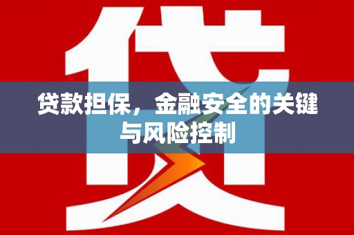 东乌旗贷款担保，金融安全的关键与风险控制
