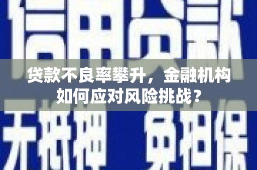 东乌旗贷款不良率攀升，金融机构如何应对风险挑战？