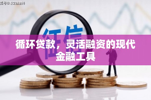东乌旗循环贷款，灵活融资的现代金融工具