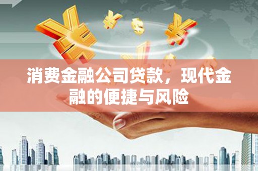 东乌旗消费金融公司贷款，现代金融的便捷与风险