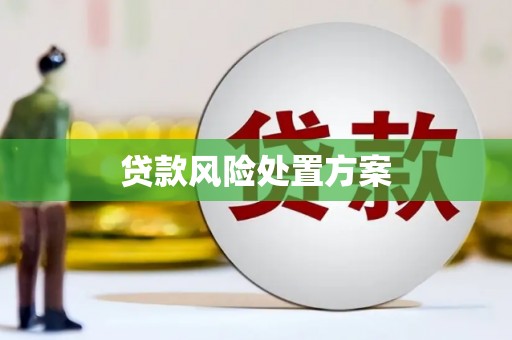 东乌旗贷款风险处置方案