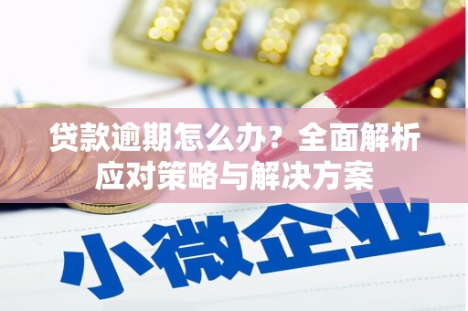 东乌旗贷款逾期怎么办？全面解析应对策略与解决方案