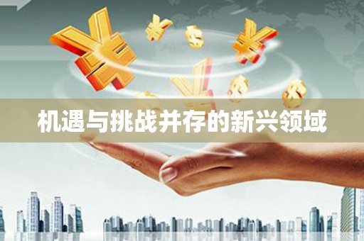 东乌旗机遇与挑战并存的新兴领域