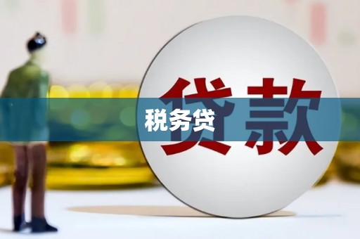东乌旗税务贷
