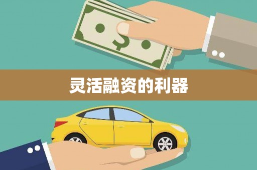 东乌旗灵活融资的利器