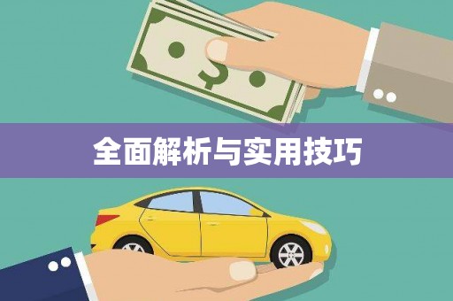 东乌旗全面解析与实用技巧