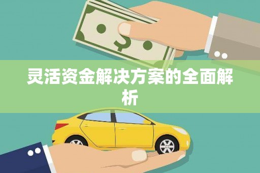 东乌旗灵活资金解决方案的全面解析