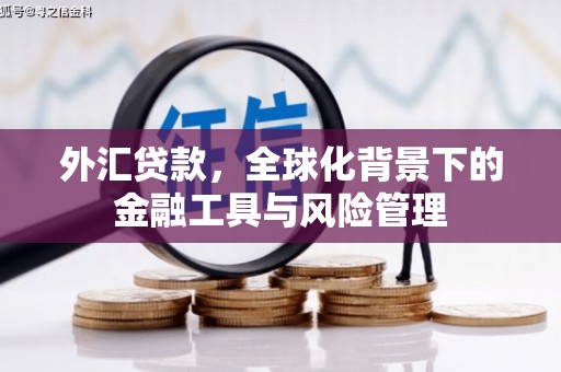 东乌旗外汇贷款，全球化背景下的金融工具与风险管理